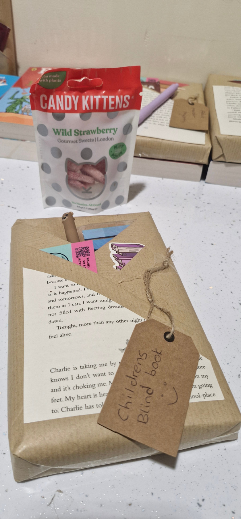 Children's mystery book