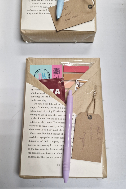 Adult blind date with a book