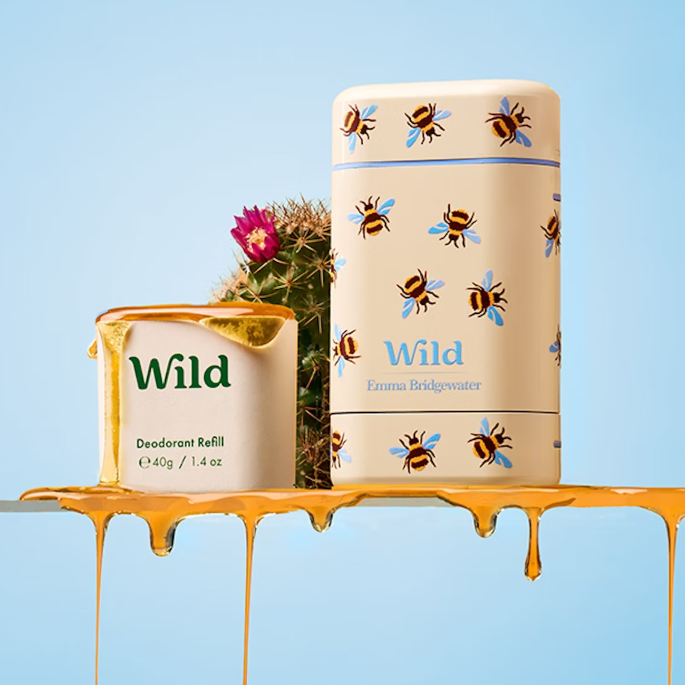 WILD Emma Bridgewater Honey & Cactus starter pack